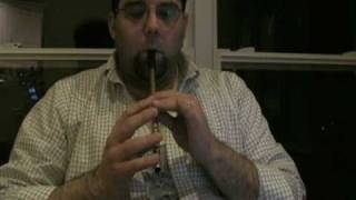 Tin Whistle Lesson 1 The D Scale [upl. by Rennug]