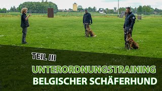 UNTERORDNUNGSTRAINING BELGISCHER SCHÄFERHUND  MALINOIS TEIL III [upl. by Idona]