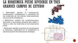 Bioquímica médica clase 1 [upl. by Leary873]