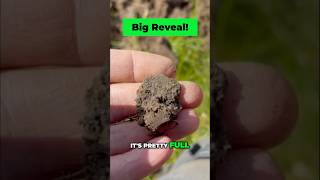 Big Reveal Big Hammered Coin Found [upl. by Celene]