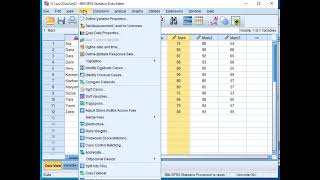 SPSS L2 Kurdish [upl. by Ydnagrub]