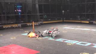 Battlebots Grudge Match Complete Control VS Razorback 2015 Un aired Fight [upl. by Annor]