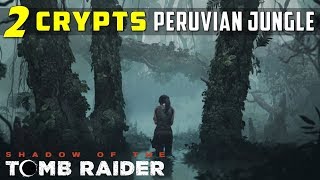 Hidden Crypts in Peruvian Jungle Sarcophagus Location  SHADOW OF THE TOMB RAIDER [upl. by Kraus518]