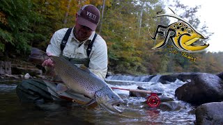 Fly Fishing for Huge Brown Trout in West Virginia [upl. by Pazit]