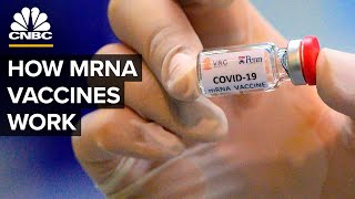 What Is An mRNA Coronavirus Vaccine [upl. by Leor711]