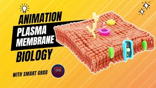 Plasma Membrane  Animation  Fluid Mosaic Model Animation  Function and Structure [upl. by Yevoc]