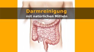 DarmreinigungDarm reinigen und entgiften [upl. by Adeirf]