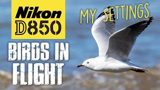 Nikon D850  How I Photograph Birds In Flight  My Settings [upl. by Elita]