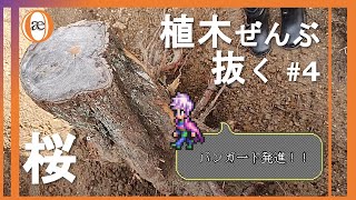 【DIY】【朽ち木？】大地の鎖を断ち切れ 4 桜【抜根】【バンガード発進】 [upl. by Kyle]