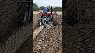 Massey Ferguson 35 Tractor with Ransomes Plough at the Hallaton Ploughing Match 2024 [upl. by Seroled]