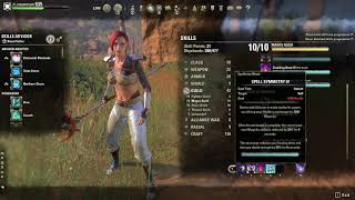 Elder Scrolls Online Mages Guild  Spells and Passives Leveled and Morphed [upl. by Alejandrina866]