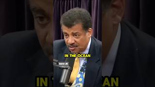 How melting glaciers will impact ocean currents 🌊 wNeil deGrasse Tyson science [upl. by Xella165]