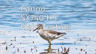 Canon PowerShot SX740 HS Field Testing [upl. by Bates]