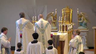 Latin Novus Ordo Mass—Eucharistic Prayer [upl. by Toll472]