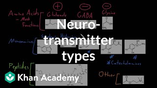 Types of neurotransmitters  Nervous system physiology  NCLEXRN  Khan Academy [upl. by Nairret]