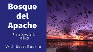 Photowalk Talks Bosque Del Apache New Mexico [upl. by Eckart917]