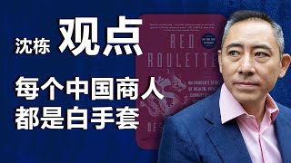 《红色轮盘》作者沈栋（上）：每个中国商人都是白手套｜观点 [upl. by Aeslehc]