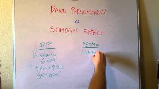 Dawn Phenomenon vs Somogyi Effect [upl. by Valentine]