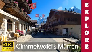 EXPLORE Gimmelwald amp Mürren alpine towns above Lauterbrunnen valley 🇨🇭 4K Walk [upl. by Croner547]