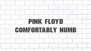 Pink Floyd  Comfortably Numb 2011  Remaster [upl. by Amalbena355]