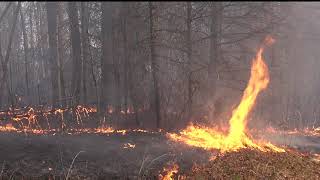 Learning About Burning An Introduction to Prescribed Fire for NC Landowners [upl. by Dall]