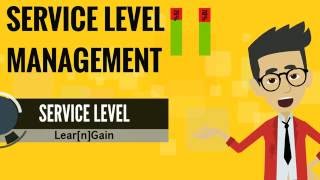 SERVICE LEVEL MANAGEMENT  Learn and Gain [upl. by Meela]