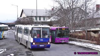 20190125  ÉNYKK Zrt  VBusz Kft  Buszok a vasútállomásnál [upl. by Chet]