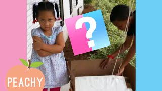 Boy Or Girl🤔  Funny Gender Reveal Reactions [upl. by Linc]