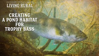 How to Create a Pond Habitat for Trophy Bass  Living Rural Pond Management  YouTube [upl. by Halivah609]