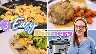 WHATS FOR DINNER  2 CROCKPOT DINNERS  NO 76 [upl. by Flem]