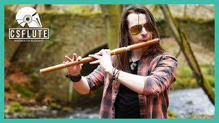 Concerning Hobbits  Celtic Flute Cover [upl. by Flemings]