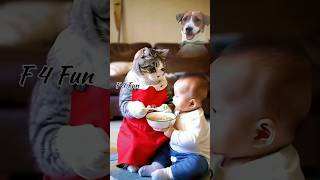 Funny Cat Fooding Baby 🐥 🐥shorts short shortvideo trending funny cat comedy viralvideo [upl. by Ydroj]