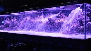 800 Aquarium pt2 Aquascape  Floating Shelf [upl. by Nysa519]