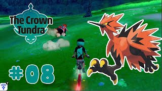 Pokemon Sword And Shield DLC The Crown Tundra 8  Bắt Huyền Thoại Galarian Zapdos [upl. by Hizar403]