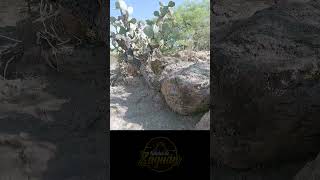 JOVENCITA FANTASMA shortvideo actividadparanormal recorridoparanormal paranormales [upl. by Negris214]