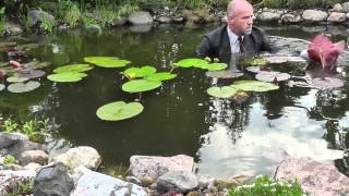 How to plant water lilies in a deep pond [upl. by Charmion431]