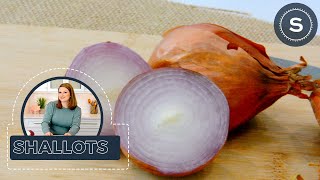 What are Shallots The Difference Between Onion and Shallots [upl. by Lenrad]