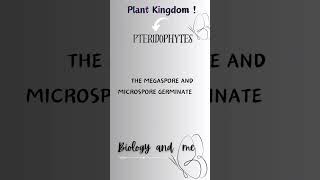 pteridophytes fypシ゚viral study neet neetbiology class11th ncertbiology dontmissmustwatch [upl. by Xella]