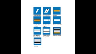 Grades police municipale [upl. by Aisyram]