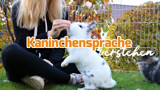 Kaninchensprache verstehen  Teil 1 [upl. by Ahterod549]