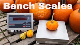 How to Choose the Perfect Bench Scale [upl. by Eustatius]