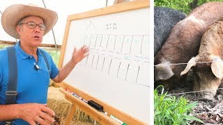 Joel Salatin Teaches Pasture Pigs for Profit [upl. by Atteirneh]