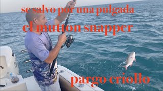 🛥🎣🎣weekend 🎣🎣en ⚓️🐟boca 🌴chita🏝EP244 [upl. by Deane]