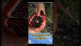 Pomegranate cutting hackViral hackviral short viral short video [upl. by Ahsap]