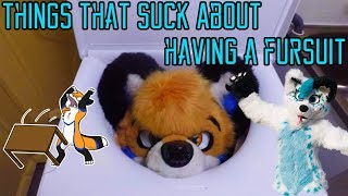 Things that suck about having a fursuit  With Skyehigh Studios [upl. by Tiffy858]