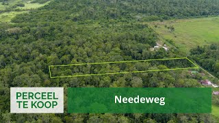 Needeweg • 791006 m² Perceel te Lelydorp Wanica Suriname [upl. by Voccola347]