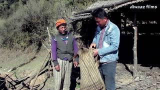 A farmer shepherd earn one hundred thousand in a month easily in Nepal  rural hill side of Nepal [upl. by Dragone819]