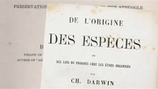 1859  Darwin et la théorie de lévolution [upl. by Rayburn]