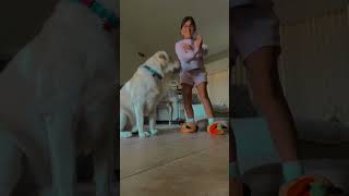 dance lilyvargas6549 ja ja ja My Dog ja ja ja mi perro suscríbanse a mi canal por favor 💖🫶🏼 [upl. by Ennasirk]