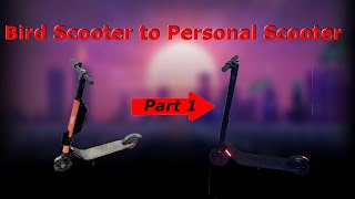 Bird Scooter to Personal Scooter Tutorial Part 1 [upl. by Persian]